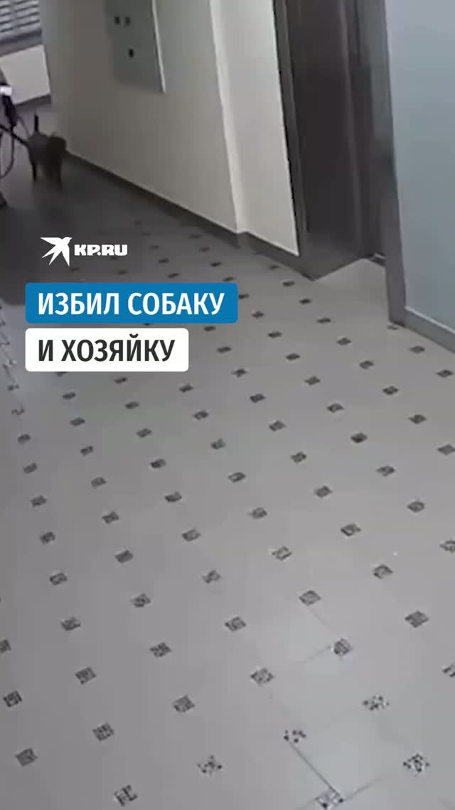 В Новосибирске мужчина напал на женщину с питомцем