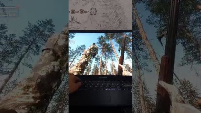 свободная охота