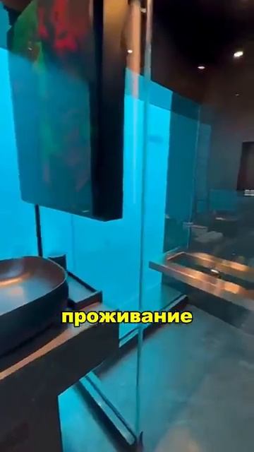 Япония на 100 лет впереди?🤔🙄