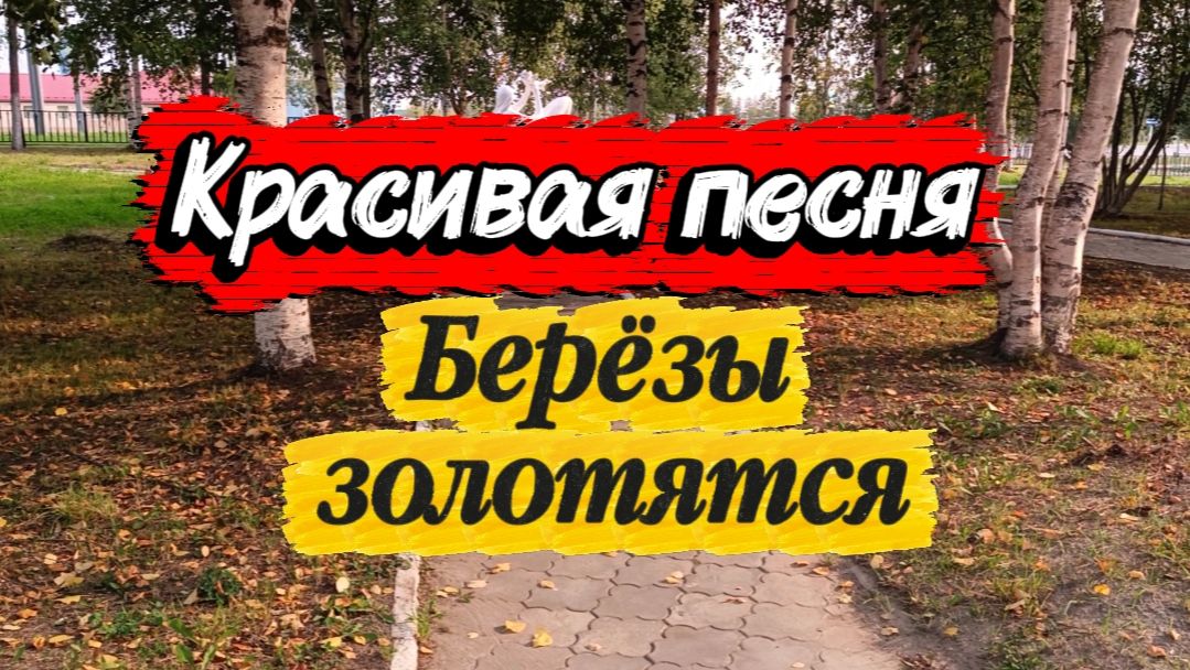 НОВАЯ КРАСИВАЯ песня - БЕРЁЗЫ ЗОЛОТЯТСЯ