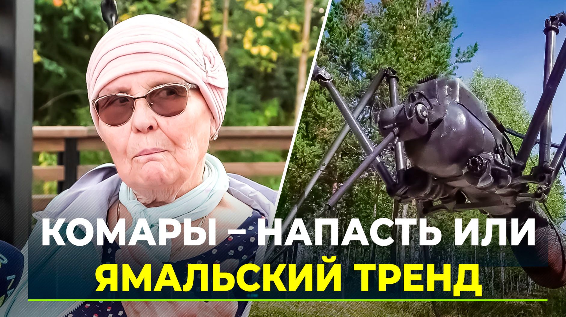 Сегодня – Всемирный день комара