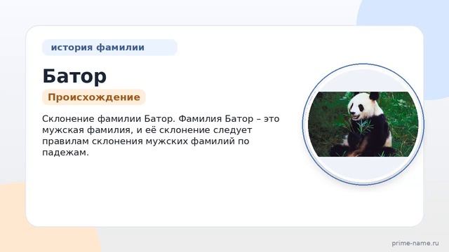 Фамилия Батор: происхождение, значение и склонение