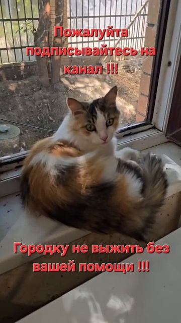 Дуняша.