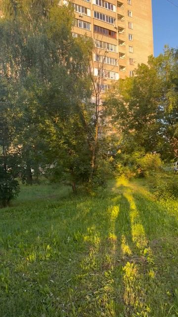 Улица Спортивная в Электростали в лучах заходящего солнца.