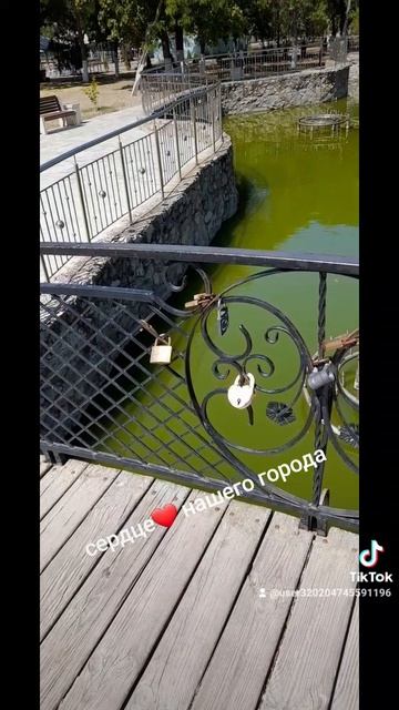 1000028892.mp4