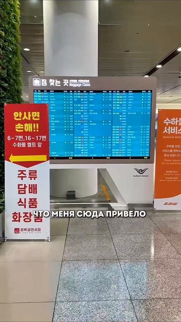 Я прилетела в другую страну с очень важной миссией ✈️

Совсем скоро расскажу, что привело меня сюда…