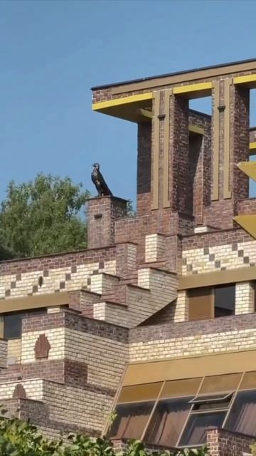 👑 Частная пирамида в Подмосковье