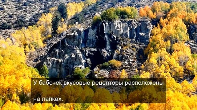 сила знания о мироздании 16