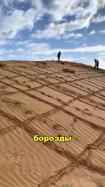 Зачем в Китае пустыню накачивают водой ? 🤔