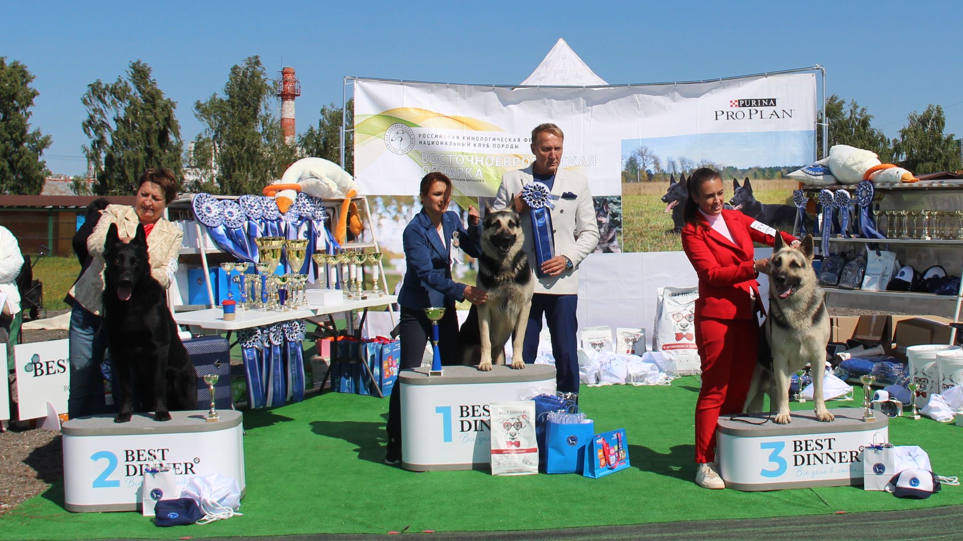 Расстановка класса чемпионов