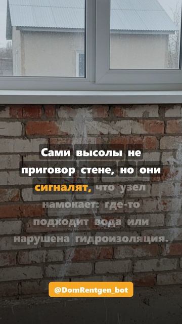 Белые высолы на кирпичной кладке #shorts