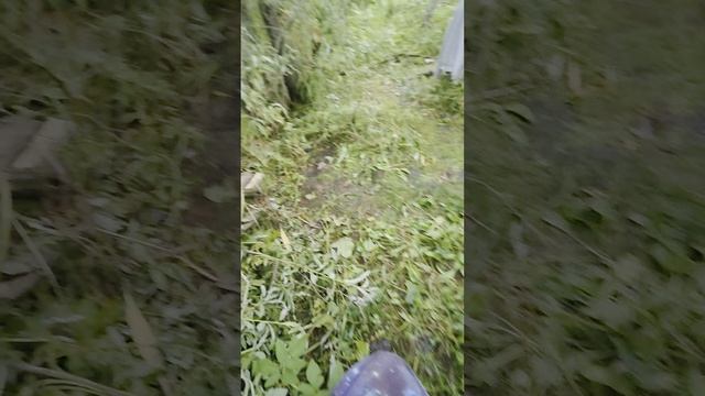 дневной обзор