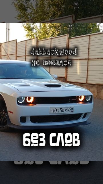dabbackwood-Не попался
БЕЗ СЛОВ
