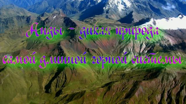 Анды - дикая природа самой длинной горной системы Земли