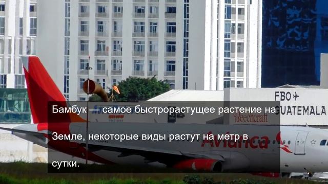 Вот и все пришли
