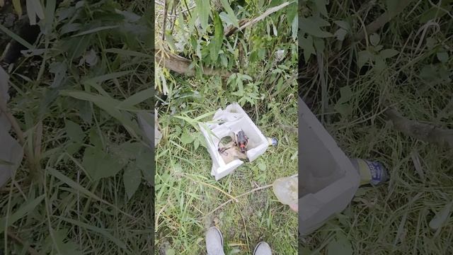 обзор на шалаш