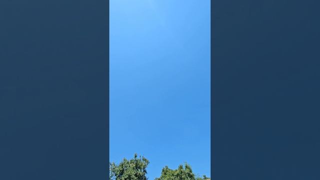 Полет голубей в жару.