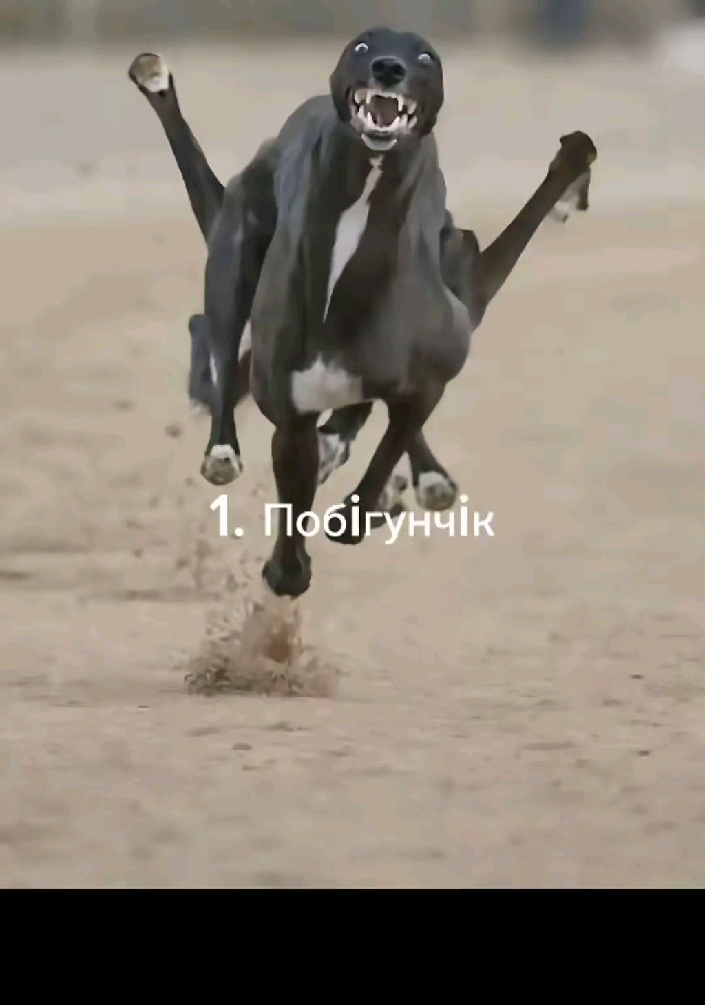 ничего не пишите ничего не спрашивайте
