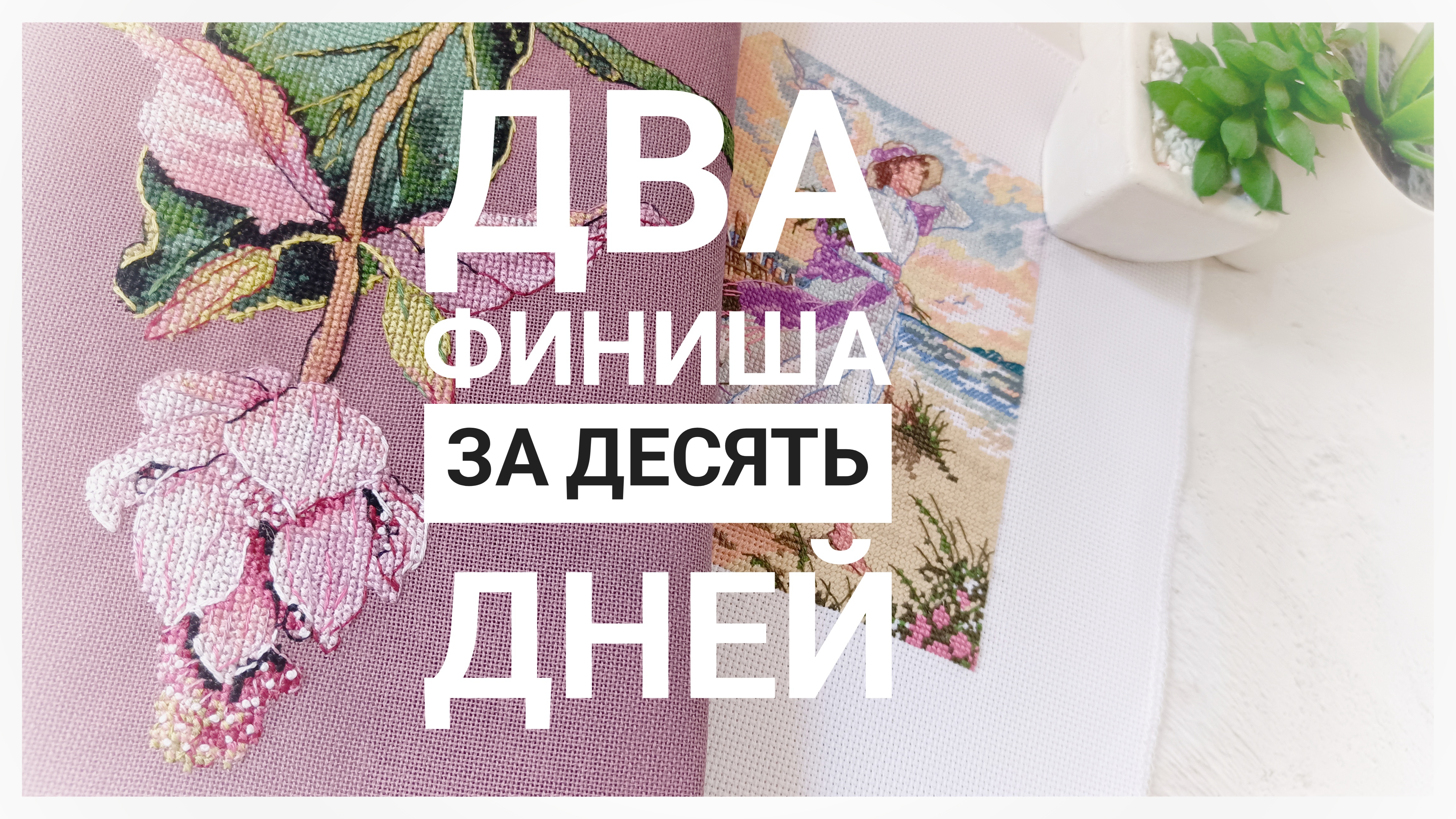 Продвижения за 10 дней АВГУСТА | Два финиша | Вышивка крестом