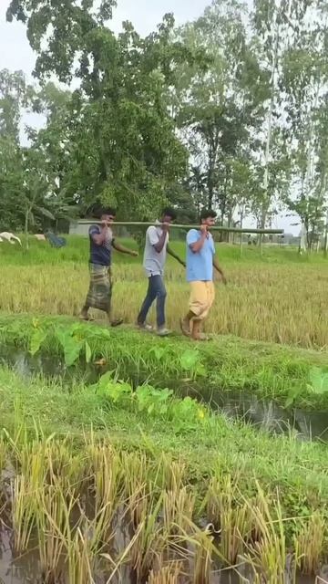 Epic Funny Moments 🤣🤣🤣   #shorts #funnyvideos #funny #comedy #funnymoments