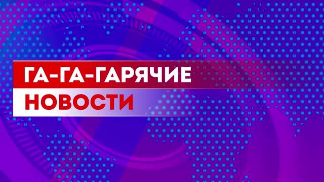 Новости от Гусика