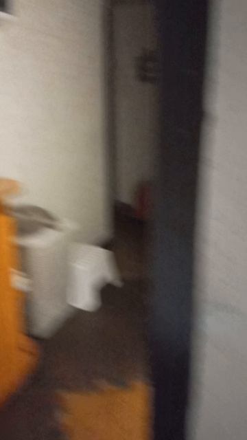Утро