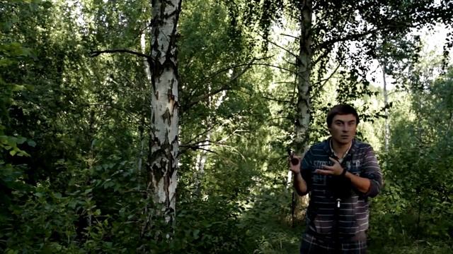 прогулка по лесу
