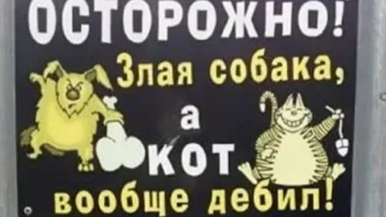 Лютые объявления. Мегаподборка с канала Макс Максимов. Осторожно злая собака, а кот вообще ДЕБИЛ !!!