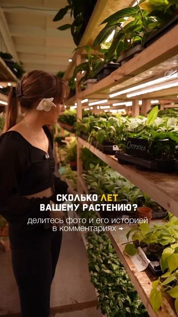 Ждём фото и истории о ваших долгожителях в комментариях!💚👇🏻