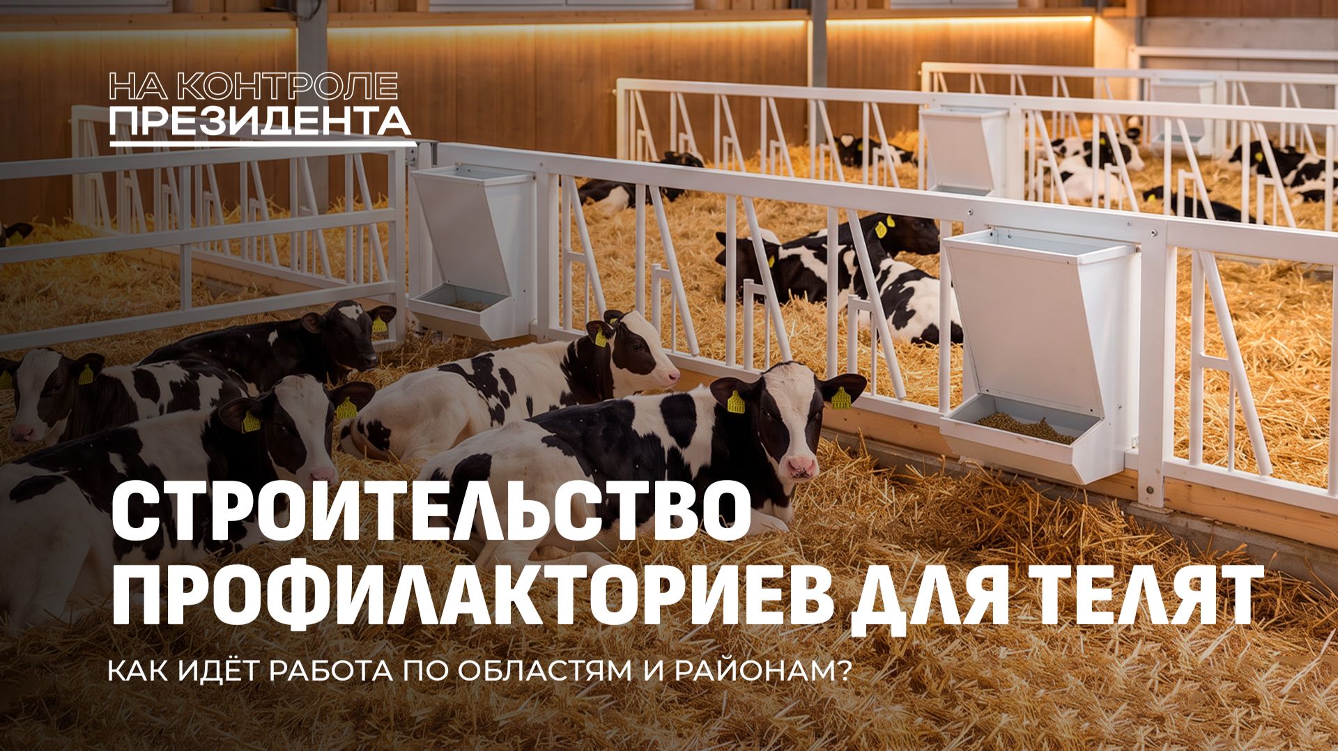 Забота о будущем! Стройка новых профилакториев для телят. На контроле Президента