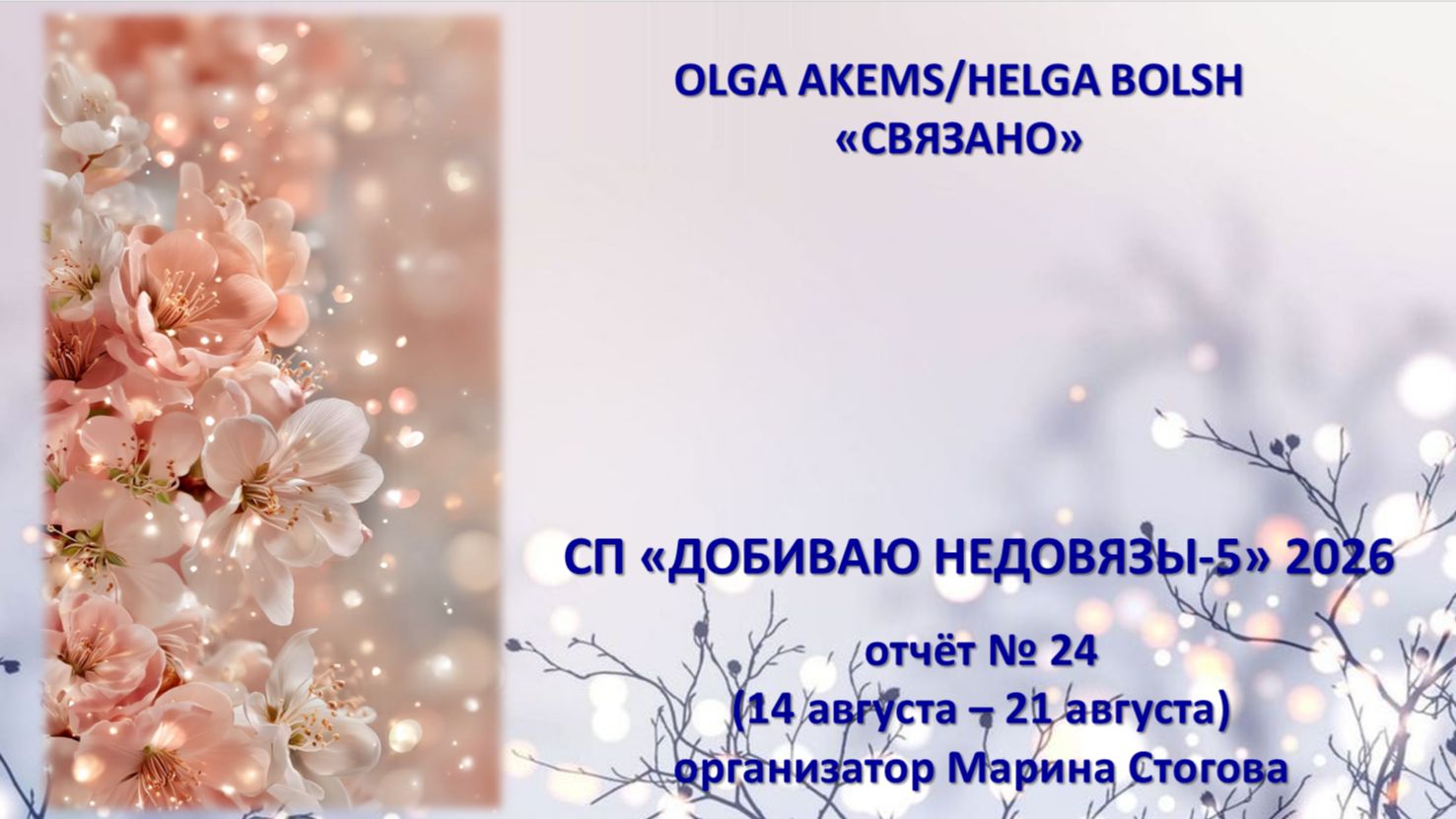 СП ДОБИВАЮ НЕДОВЯЗЫ-5 2026  отчёт N 24 14 августа - 21 августа