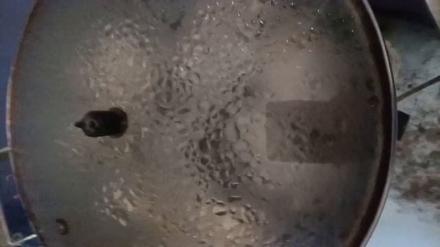 8001.mp4