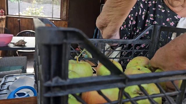 Пропадают яблоки.