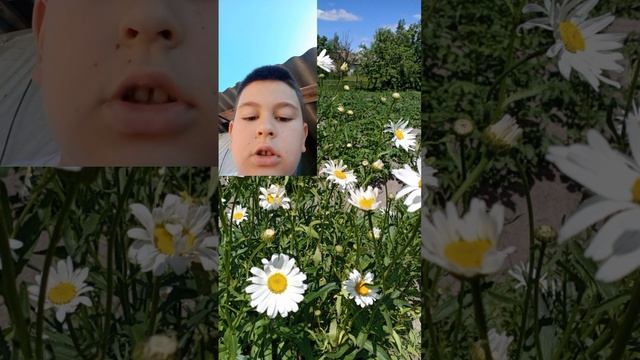 Паркур обби снежка
