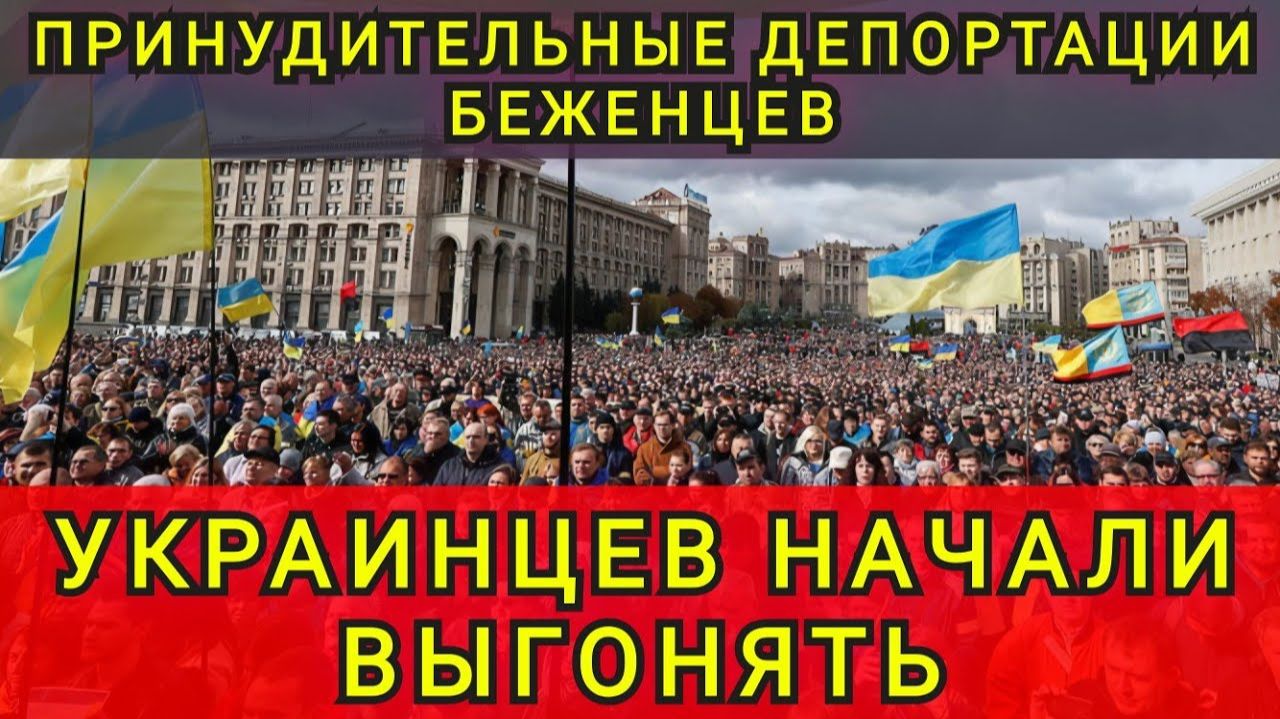 Европа показала своё лицо. Принудительная депортация беженцев. Украинцев начали выгонять. Колобок