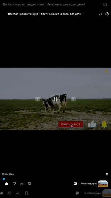 Мука ПШЕНИЧНАЯ 🐄