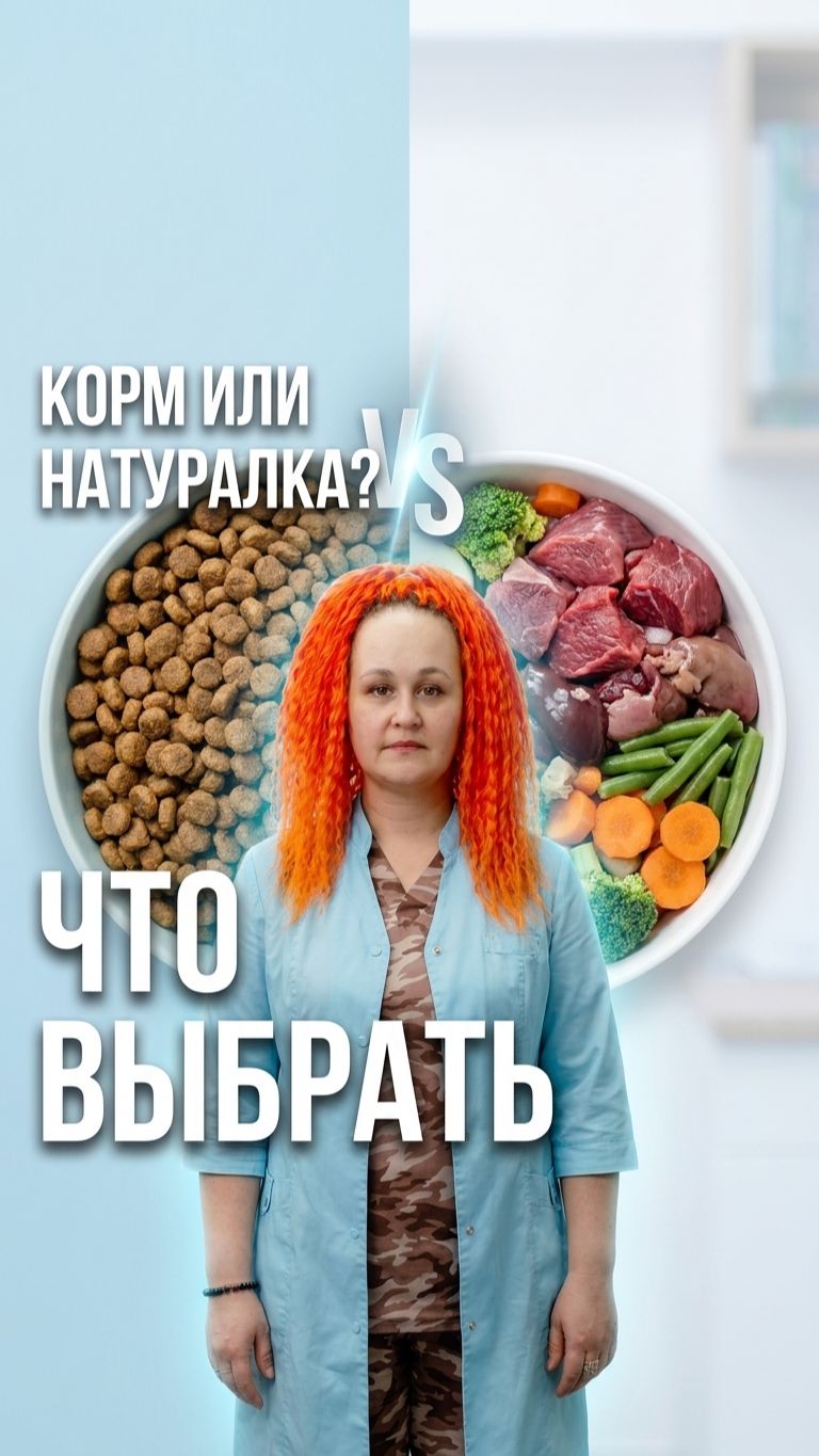  Сухой корм или натуралка для собаки  что выбрать