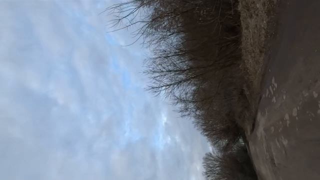 лесная дорога