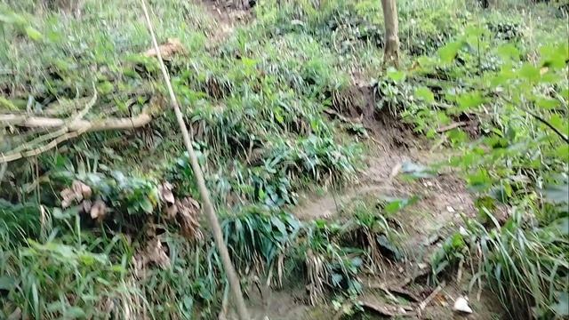 Водопад Пасть Дракона