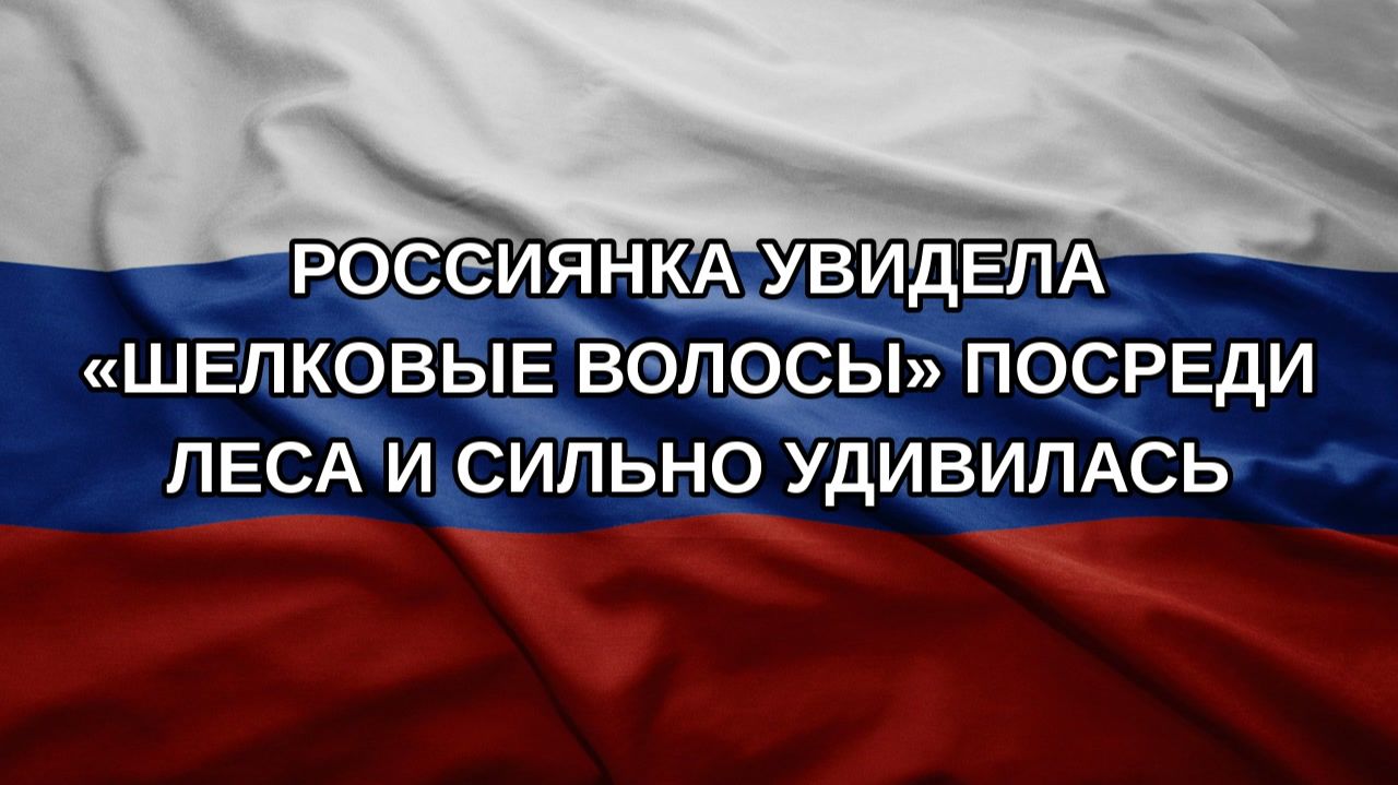 Россиянка увидела шелковые волосы посреди леса и сильно удивилась