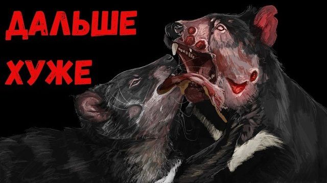 Тасманийский Дьявол  Животное, Которое Вымирает из-за Рака