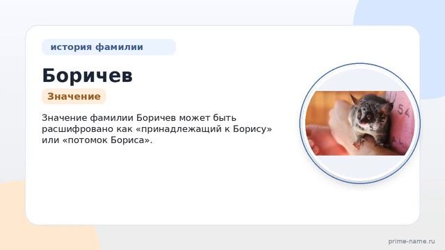 Фамилия Боричев: происхождение значение и склонение