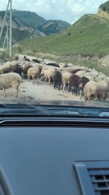 Дороги в Кабардино-Балкарии 20.08.26