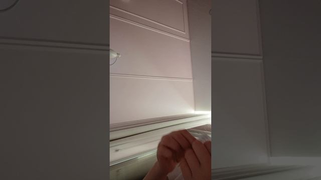 14042.mp4