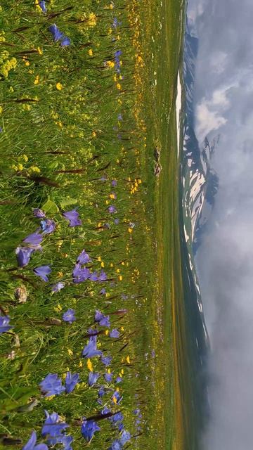А какой отпуск у вас