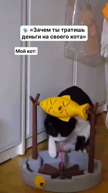 Милые котики