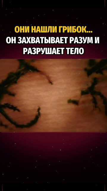 🎬Зараза (2026)