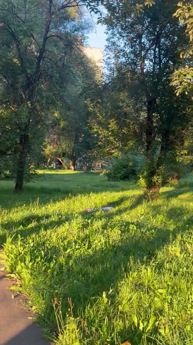 Тихие улицы большого города: прогулка по Спортивной в Электростали.