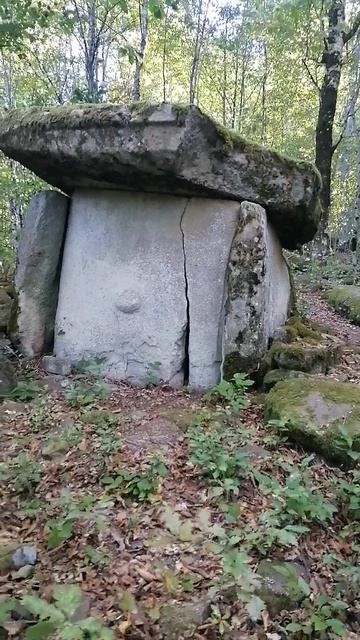 флора и фауна