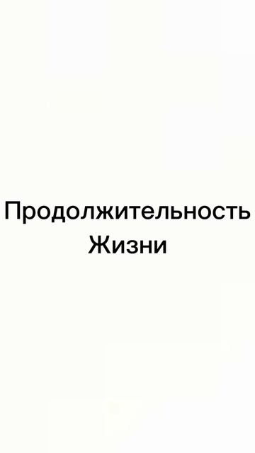 ТУРНИР: ШВЕЦИЯ ПРОТИВ ЧЕХИИ